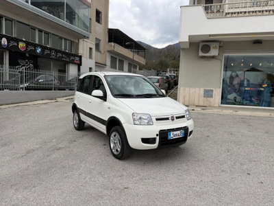 Fiat Panda 1.3 MJT 16V DPF 4x4 Climbing (4)