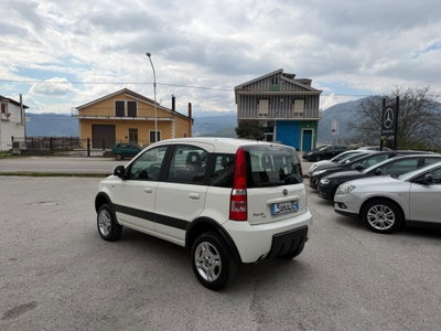Fiat Panda 1.3 MJT 16V DPF 4x4 Climbing (5)