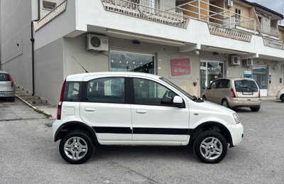 Fiat Panda 1.3 MJT 16V DPF 4x4 Climbing (7)