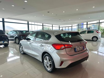 Ford Focus 1.5 EcoBlue 120 CV 5p. ST-Line (2)