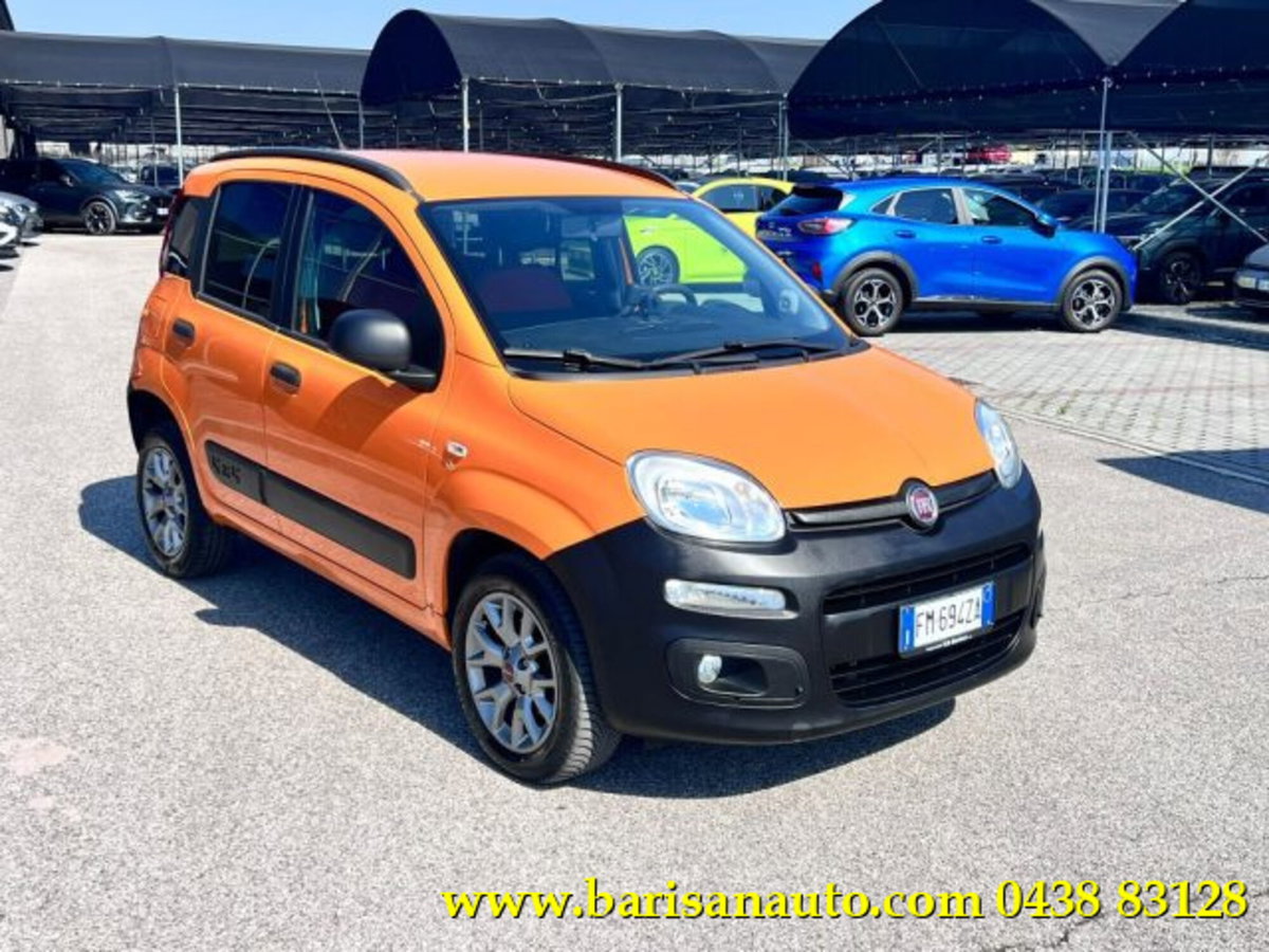 Fiat Panda 1.3 MJT 4x4 Pop Van 2 posti (2)