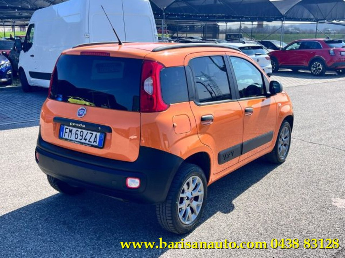 Fiat Panda 1.3 MJT 4x4 Pop Van 2 posti (3)