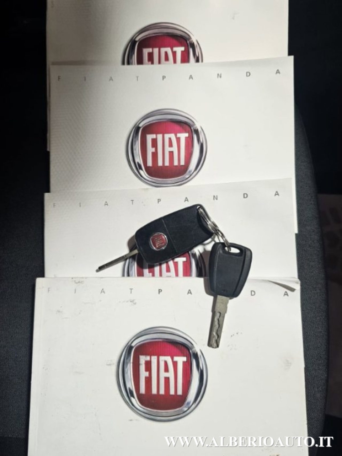 Fiat Panda 1.3 MJT 16V DPF 4x4 Climbing (17)