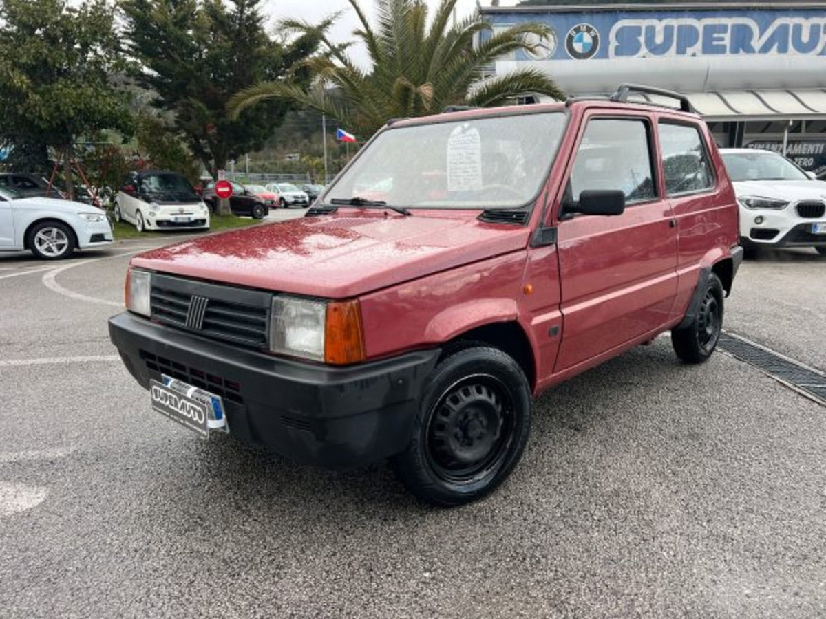 Fiat Panda 1100 i.e. cat 4x4 (3)