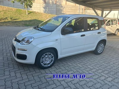 Fiat Panda 1.0 firefly hybrid s&s 70cv 5p.ti nuova