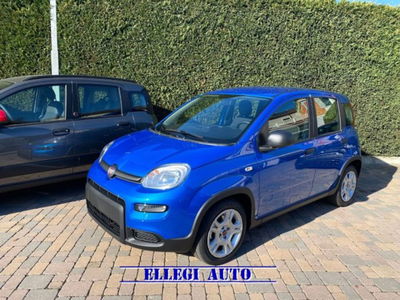 Fiat Panda 1.0 firefly hybrid s&s 70cv 5p.ti nuova