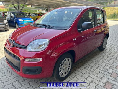 Fiat Panda 1.0 firefly hybrid s&s 70cv 5p.ti nuova