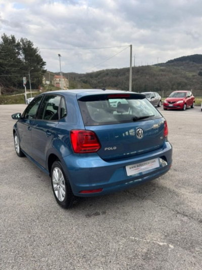 Volkswagen Polo 1.4 TDI 5p. Comfortline (12)