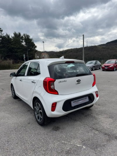 Kia Picanto 1.0 12V 5 porte Cool (15)