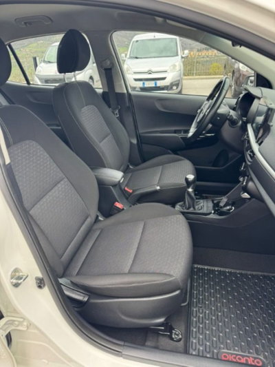 Kia Picanto 1.0 12V 5 porte Cool (4)