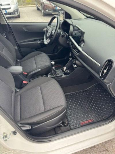 Kia Picanto 1.0 12V 5 porte Cool (8)