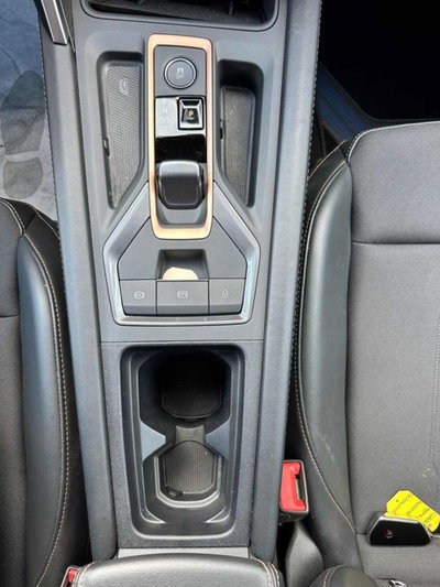Cupra Leon Leon 2.0 tdi 150cv dsg (13)
