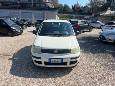 Fiat Panda 1.2 usata