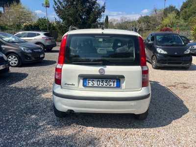 Fiat Panda 1.2 (4)