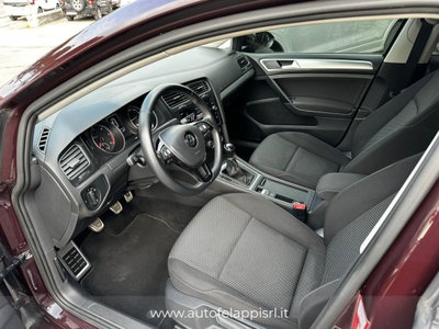 Volkswagen Golf 1.6 TDI 90 CV 5p. Trendline BlueMotion Technology (15)