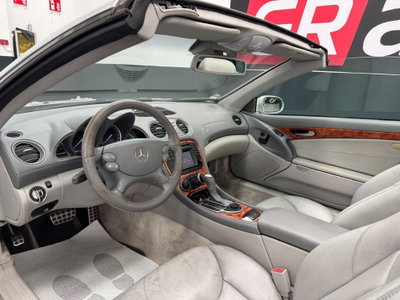 Mercedes-Benz SL 350 cat (10)
