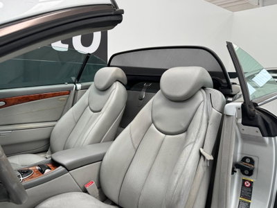 Mercedes-Benz SL 350 cat (11)