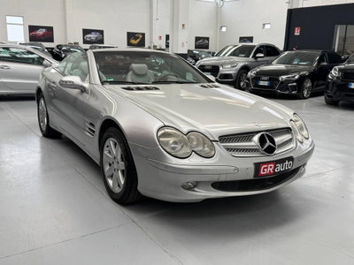 Mercedes-Benz SL 350 cat (4)