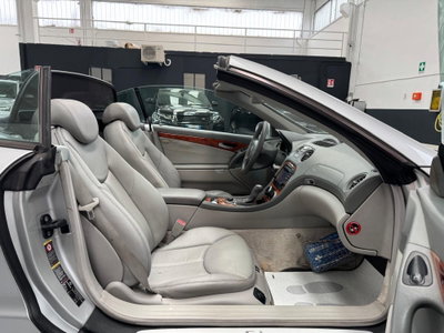 Mercedes-Benz SL 350 cat (5)