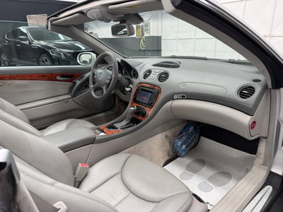 Mercedes-Benz SL 350 cat (6)