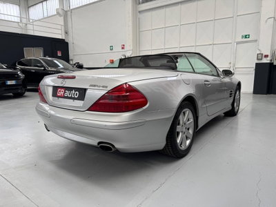 Mercedes-Benz SL 350 cat (7)