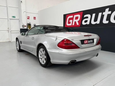 Mercedes-Benz SL 350 cat (9)