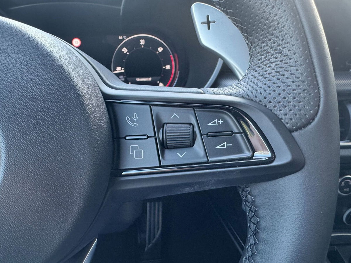 Alfa Romeo Stelvio Stelvio 2.2 Turbodiesel 210 CV AT8 Q4 Veloce (17)