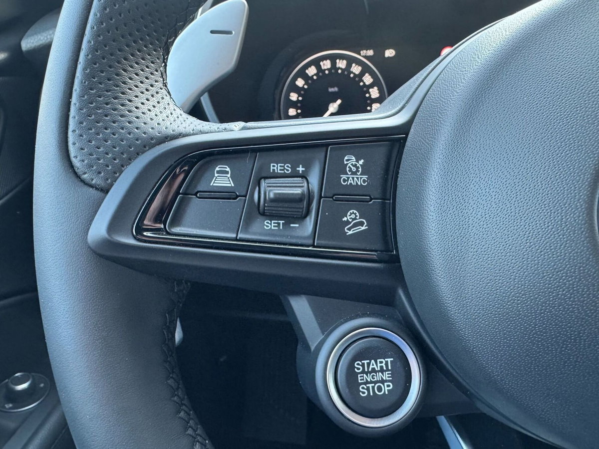 Alfa Romeo Stelvio Stelvio 2.2 Turbodiesel 210 CV AT8 Q4 Veloce (18)