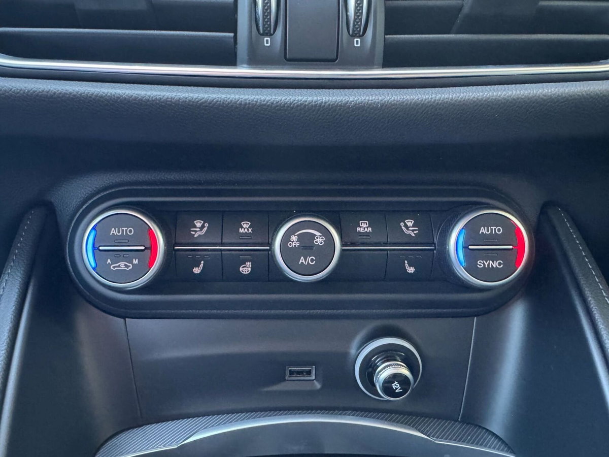 Alfa Romeo Stelvio Stelvio 2.2 Turbodiesel 210 CV AT8 Q4 Veloce (20)