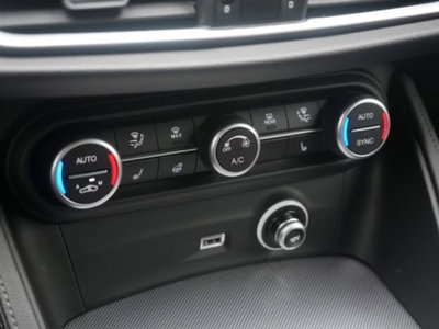 Alfa Romeo Stelvio Stelvio 2.0 Turbo 200 CV AT8 Q4 Super Business (11)