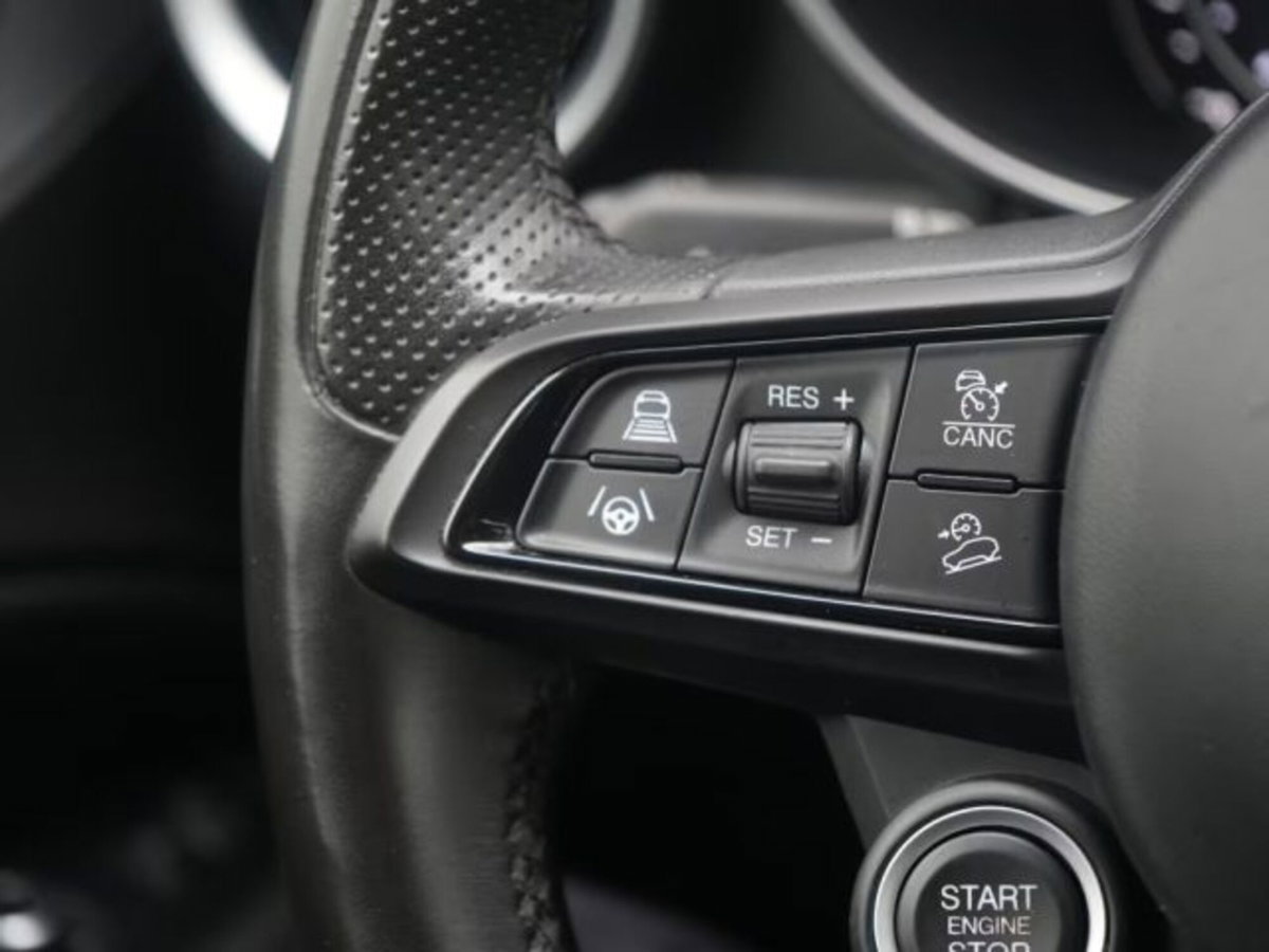 Alfa Romeo Stelvio Stelvio 2.0 Turbo 200 CV AT8 Q4 Super Business (7)