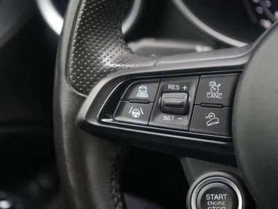 Alfa Romeo Stelvio Stelvio 2.0 Turbo 200 CV AT8 Q4 Super Business (7)