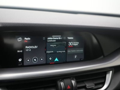 Alfa Romeo Stelvio Stelvio 2.0 Turbo 200 CV AT8 Q4 Super Business (9)