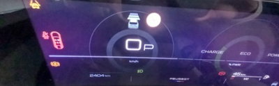 Peugeot 3008 1.2 hybrid Allure Business 145cv e-dcs6 (11)