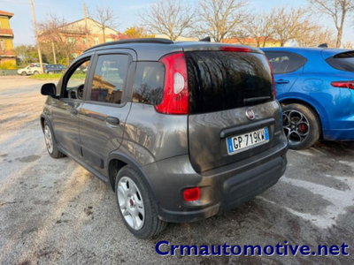 Fiat Panda 1.0 firefly hybrid s&s 70cv 5p.ti (2)
