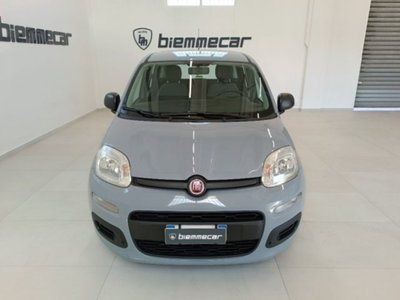 Fiat Panda 1.0 firefly hybrid s&s 70cv (3)