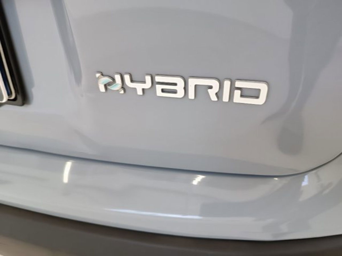 Fiat Panda 1.0 firefly hybrid s&s 70cv (7)