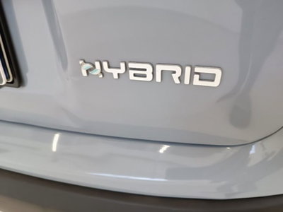 Fiat Panda 1.0 firefly hybrid s&s 70cv (7)