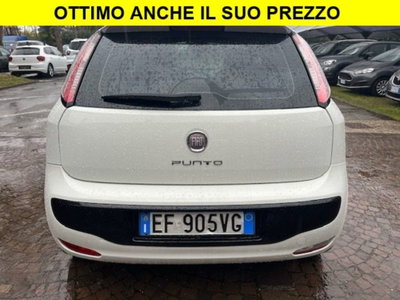 Fiat Punto Evo 1.3 Mjt 75 CV 5 porte Active (11)