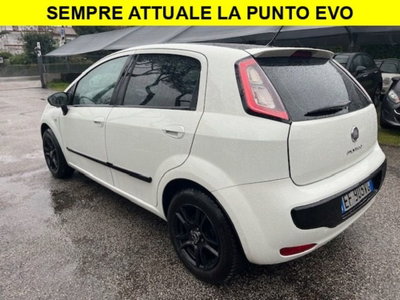 Fiat Punto Evo 1.3 Mjt 75 CV 5 porte Active (2)