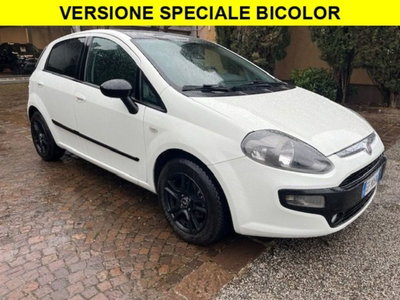 Fiat Punto Evo 1.3 Mjt 75 CV 5 porte Active (3)