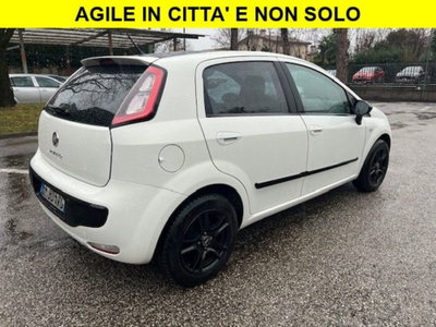 Fiat Punto Evo 1.3 Mjt 75 CV 5 porte Active (4)