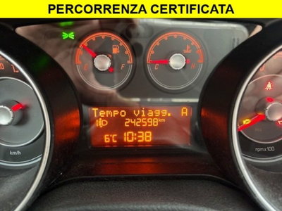 Fiat Punto Evo 1.3 Mjt 75 CV 5 porte Active (7)