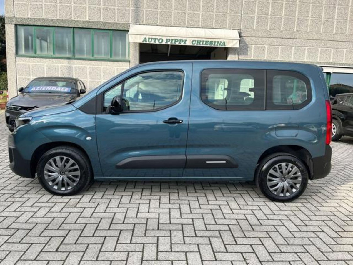 Citroen Berlingo BlueHDi 100 M Live (18)