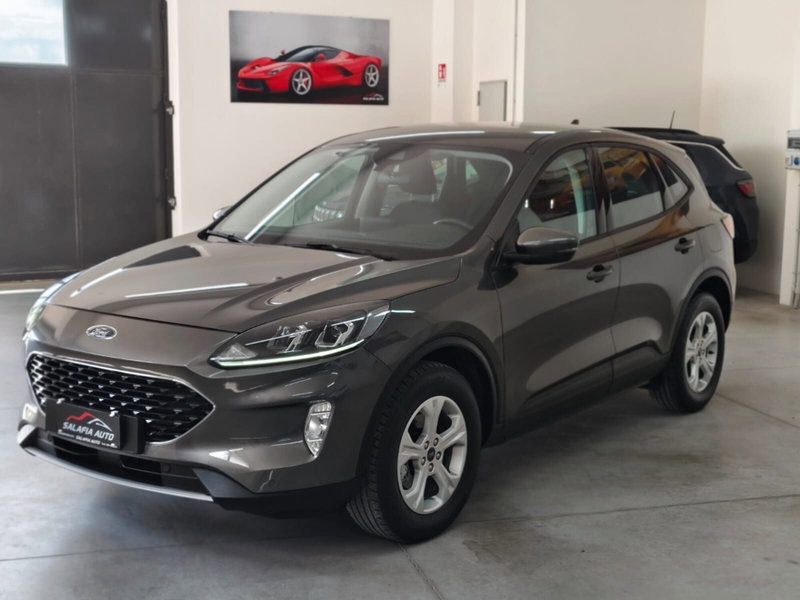 Ford Kuga 2.0 EcoBlue Hybrid 150 CV 2WD