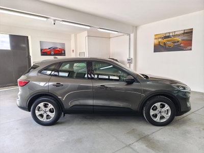 Ford Kuga 2.0 EcoBlue Hybrid 150 CV 2WD (13)