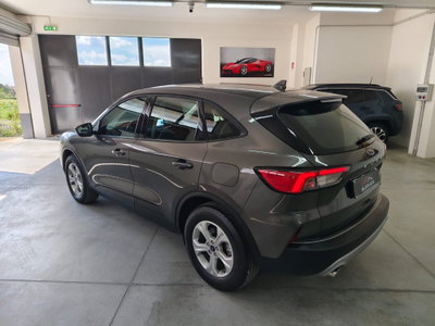 Ford Kuga 2.0 EcoBlue Hybrid 150 CV 2WD (16)