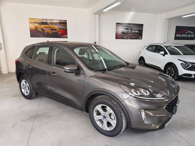 Ford Kuga 2.0 EcoBlue Hybrid 150 CV 2WD (2)