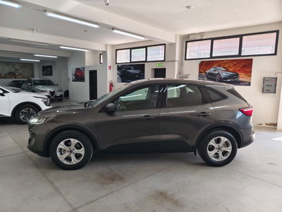 Ford Kuga 2.0 EcoBlue Hybrid 150 CV 2WD (3)