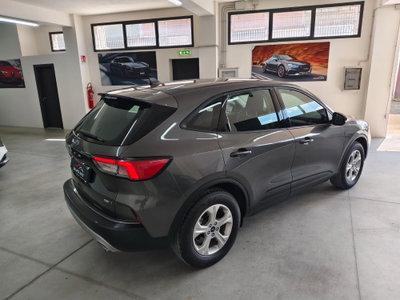 Ford Kuga 2.0 EcoBlue Hybrid 150 CV 2WD (5)